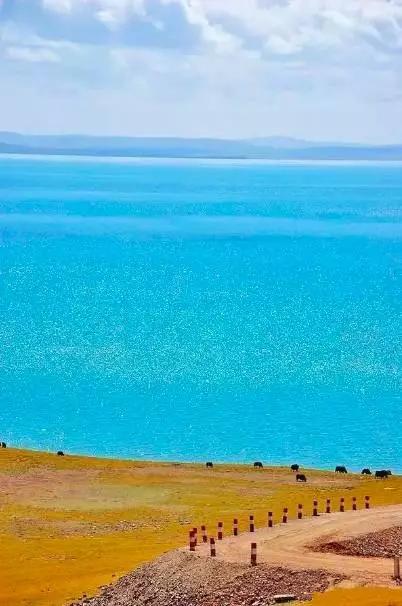 青海,探索生态保护与经济发展的和谐共生之路