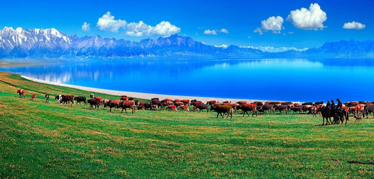 丝路新韵，新疆多元文化瑰宝之旅