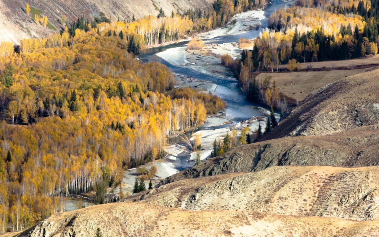 丝路新韵,新疆多元文化瑰宝之旅
